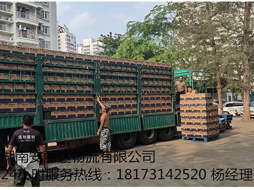 &#20061;&#28216;&#24179;&#21488;&#45;&#20061;&#28216;&#111;&#110;&#108;&#105;&#110;&#101;&#40;&#20013;&#22269;&#41;
